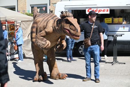dino-mieten-event-stadtfest